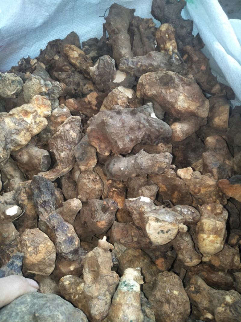 成个野生土茯苓干货，精品