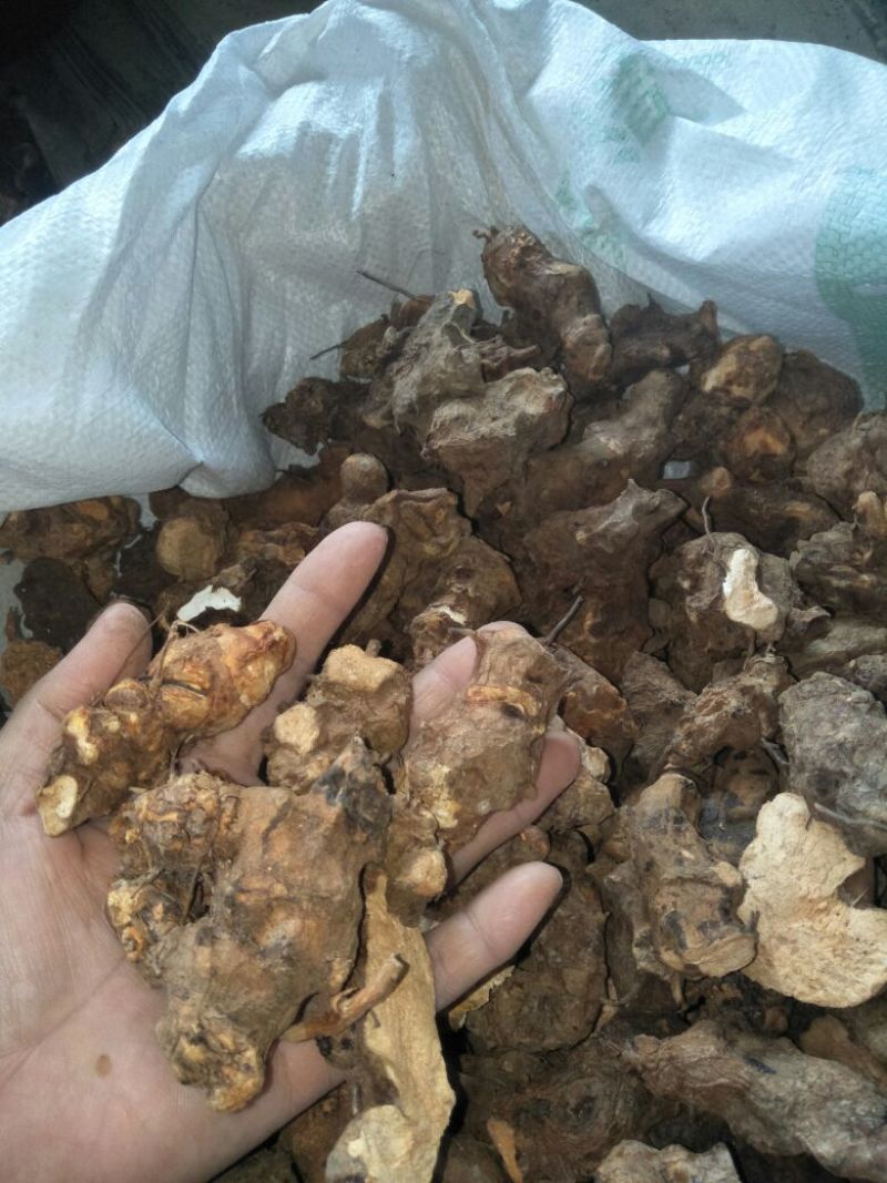 成个野生土茯苓干货，精品