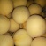 金蜜1号，锦香黄桃，黄锦绣，黄中黄，离核大黄，四两以上，