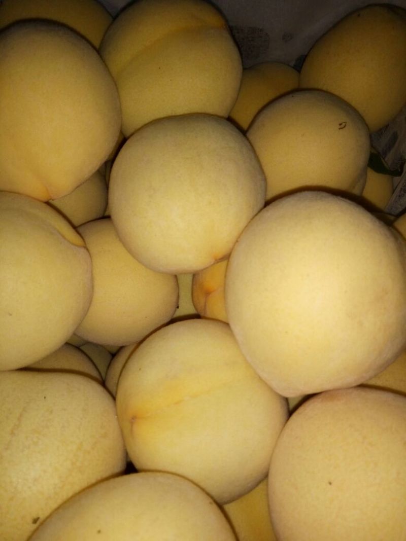 金蜜1号，锦香黄桃，黄锦绣，黄中黄，离核大黄，四两以上，