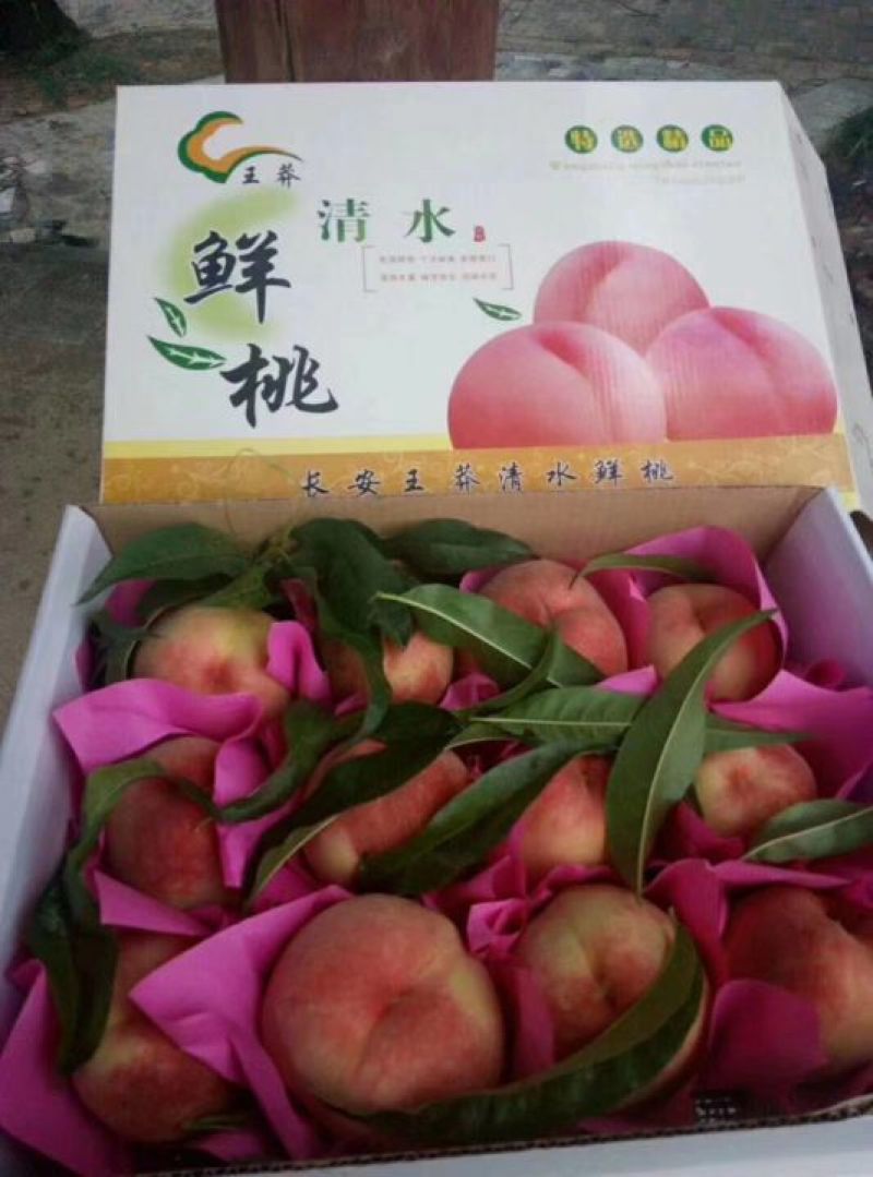 西安市王莽街道万亩桃园，土门峪桃园地基