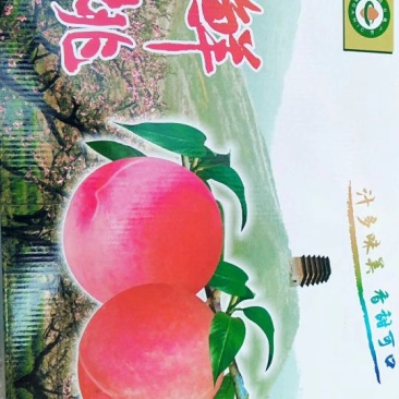 西安市长安区王莽街道万亩桃园土门峪地基