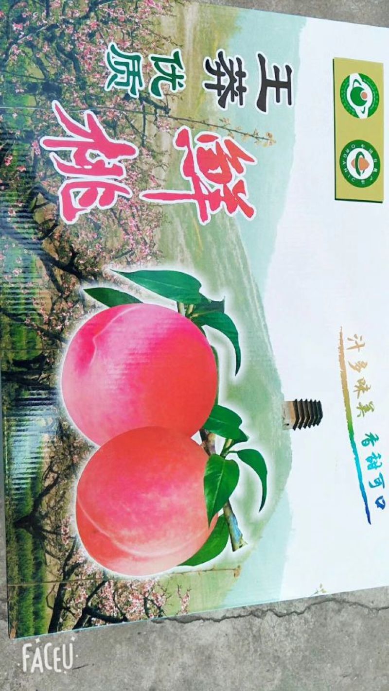 西安市长安区王莽街道万亩桃园土门峪地基