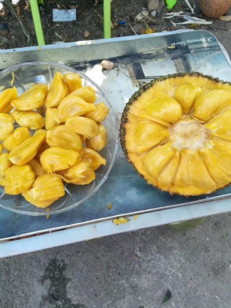 海南菠萝蜜，一手货源，一件也算批发价