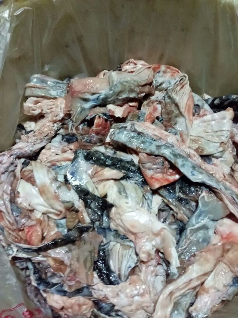 大量供应鱼皮