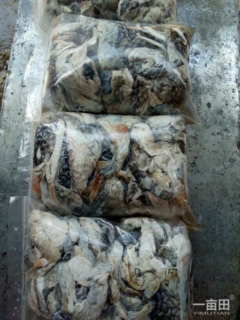 大量供应鱼皮