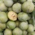 青硊李子现货特级香甜硊青碗现在正在刚刚上市