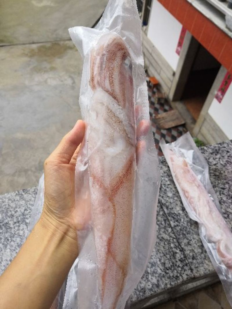手钓鱿鱼管