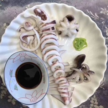 手钓鱿鱼管