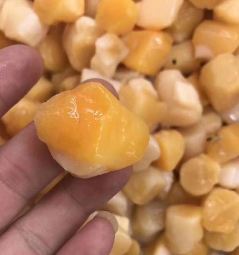 新鲜扇贝