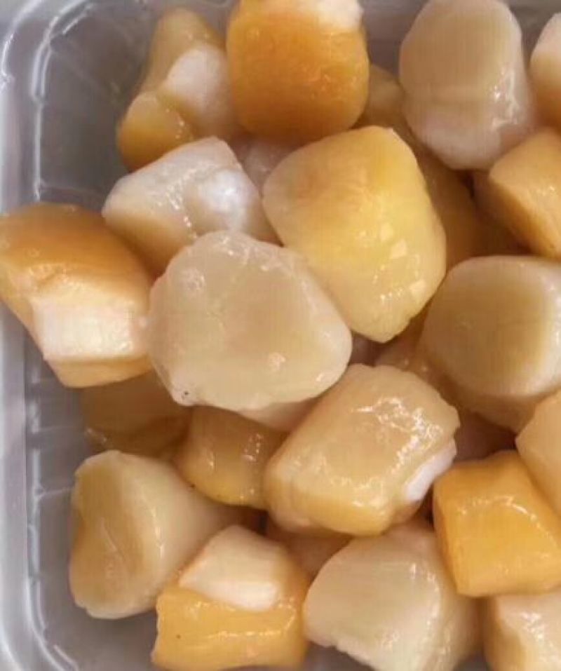 新鲜扇贝