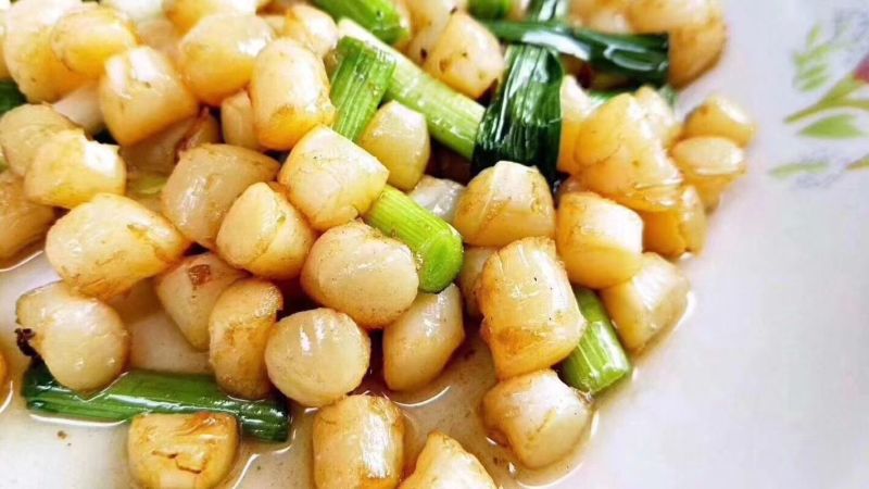 新鲜扇贝