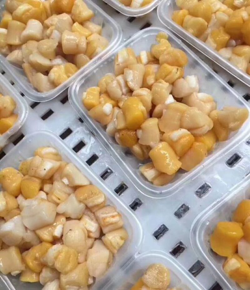 新鲜扇贝