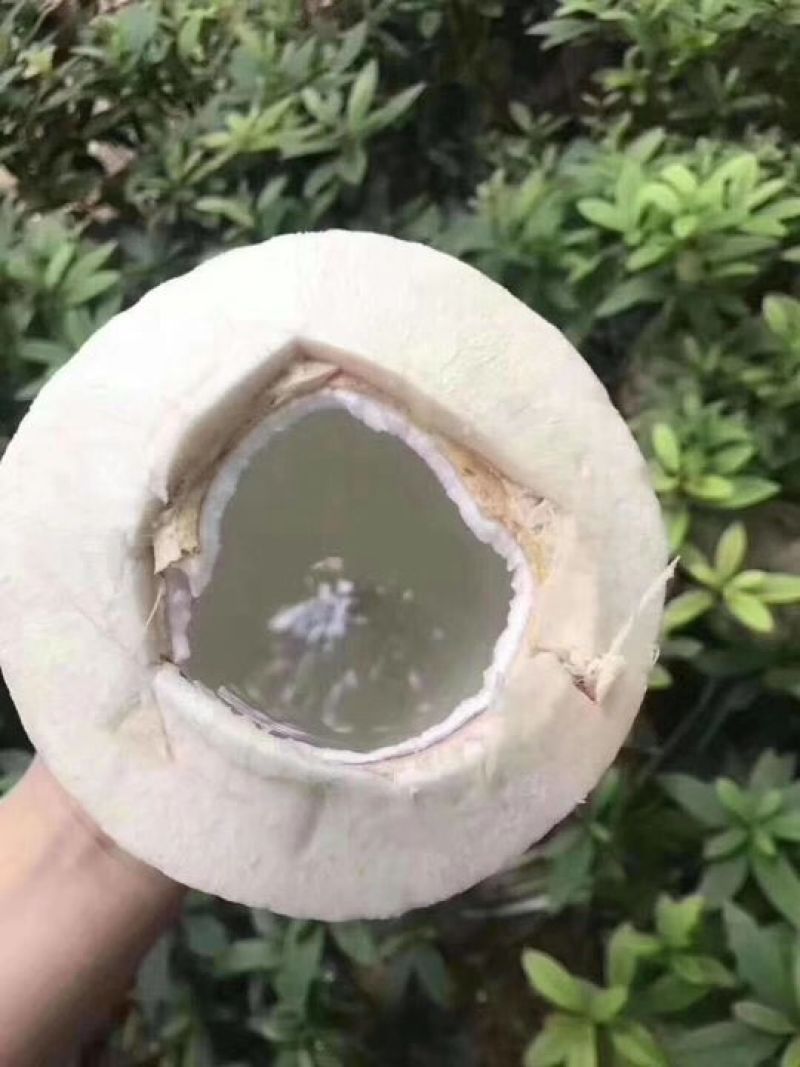 纯手工削皮，保留椰子最原始天然的本色