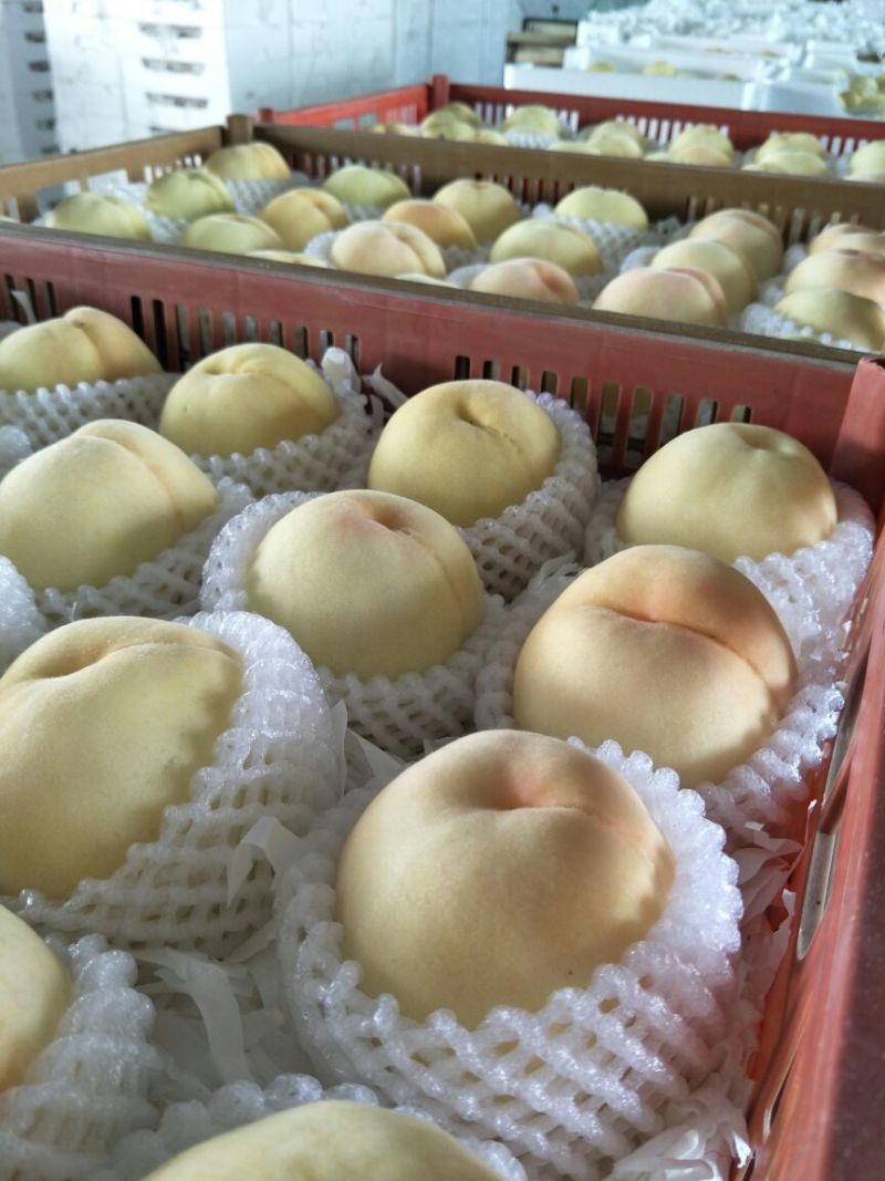 新沂优质水蜜桃大家不要错过哦！