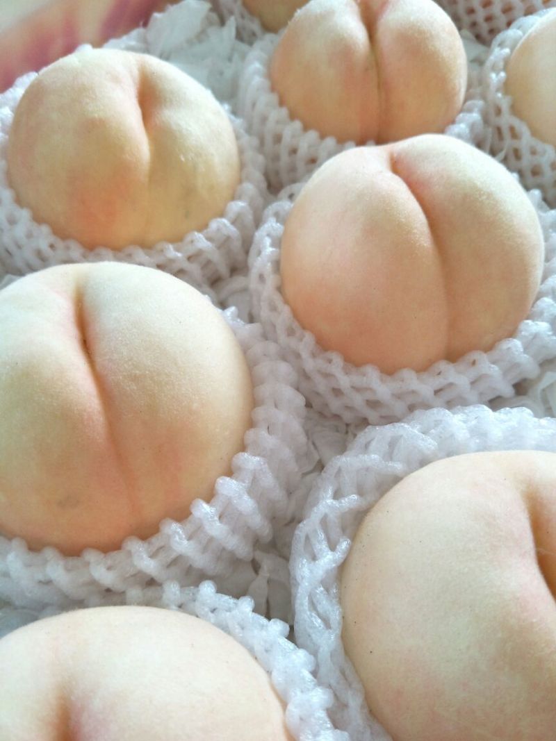 新沂优质水蜜桃大家不要错过哦！