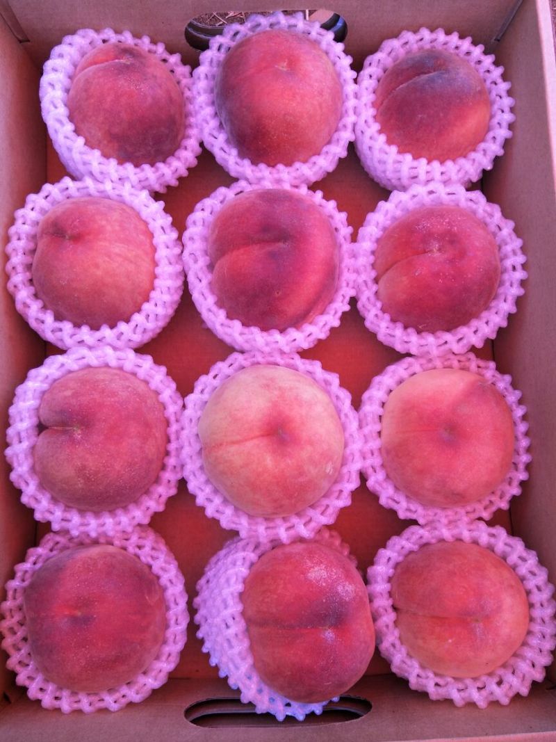 新沂优质水蜜桃大家不要错过哦！