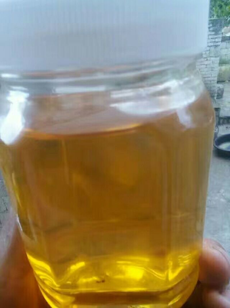 贵州土蜂密
