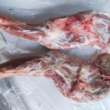 烧烤专用羊腿内蒙羔羊腿