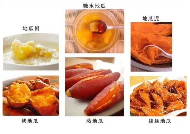 红薯