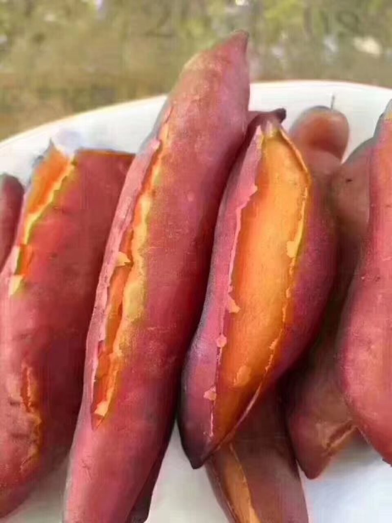 红薯