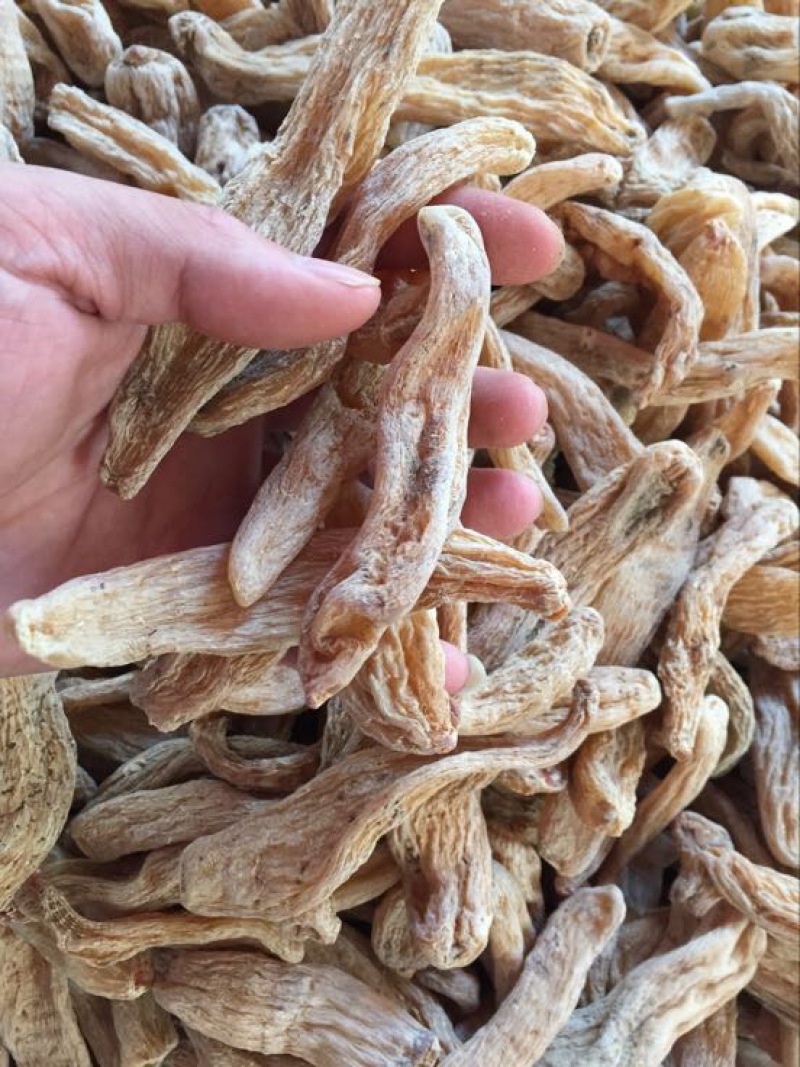 乌红天麻三级