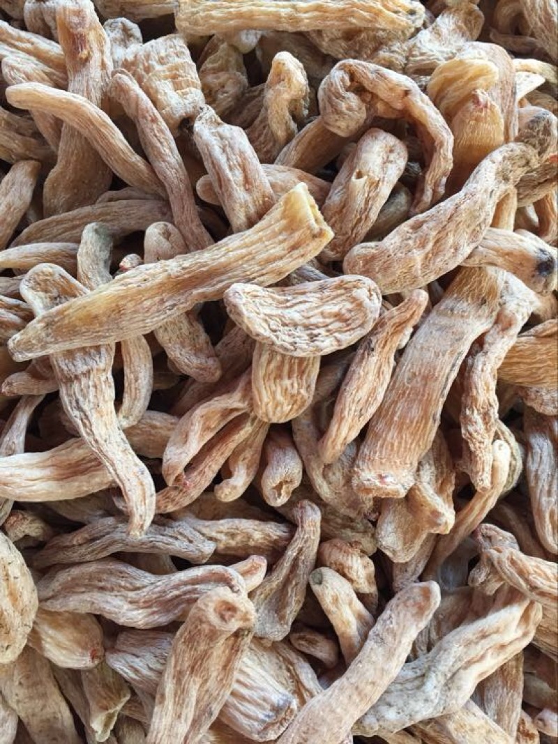 乌红天麻三级