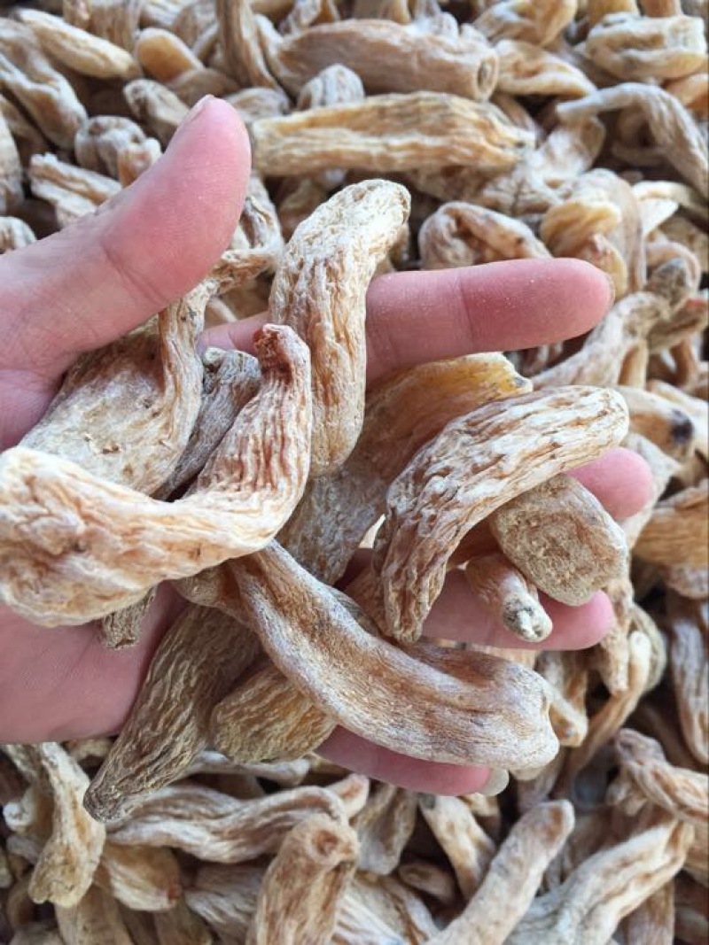 乌红天麻三级