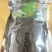 蒲公英叶茶长白山野生蒲公英产地直发包邮