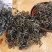 蒲公英叶茶长白山野生蒲公英产地直发包邮