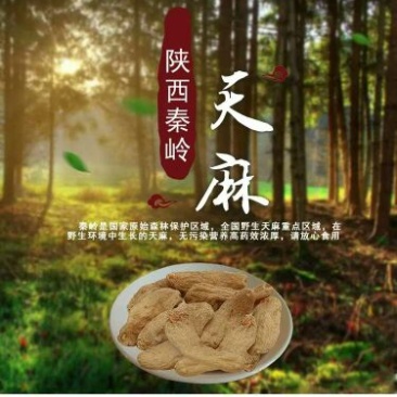 天麻中统秦岭农家林下仿野生无硫干天麻包邮