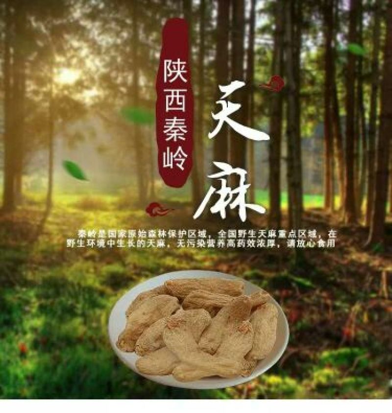 天麻中小统秦岭农家仿野生种植无硫干品1斤包邮
