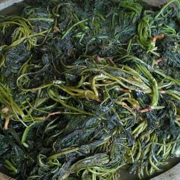 新鲜芥菜和腌制芥菜