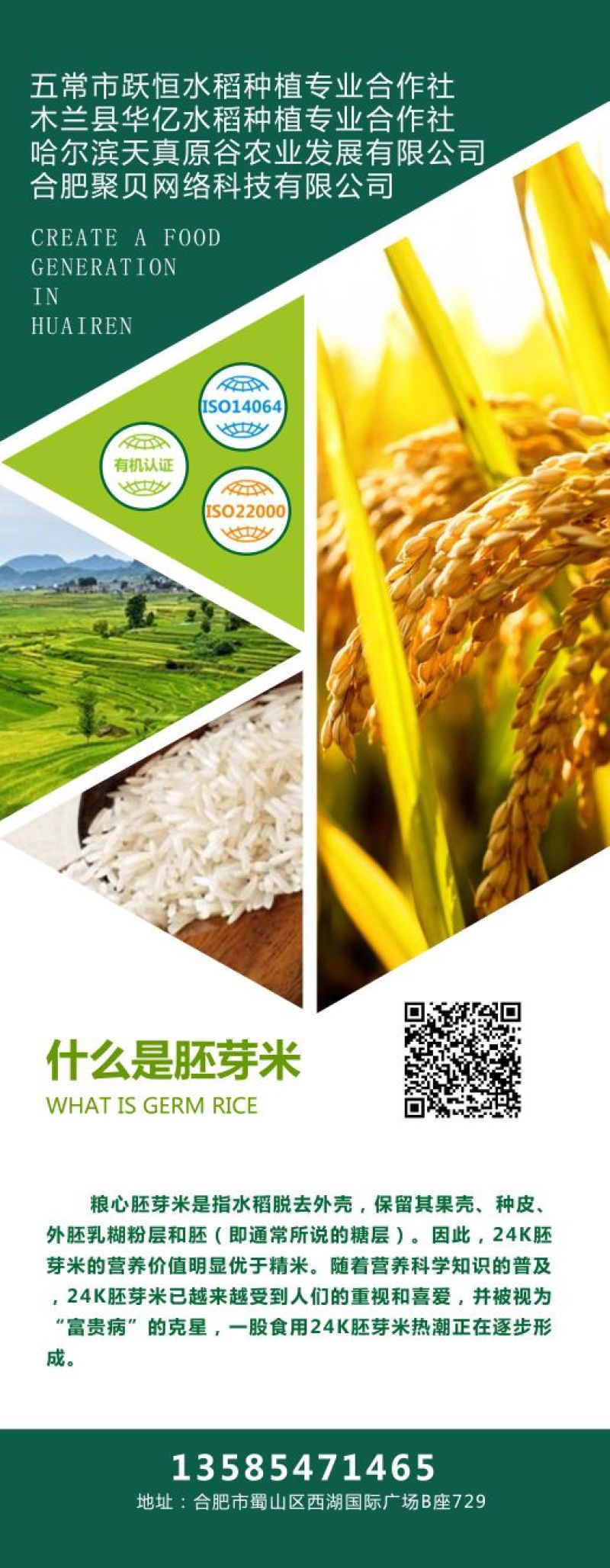 24K胚芽米