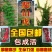 庭院攀援爬藤植物美国五叶地锦-三叶爬山虎大苗子-红叶爬墙