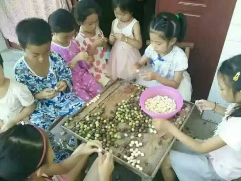 江西抚州广昌特级通心白莲农家自销干货特产