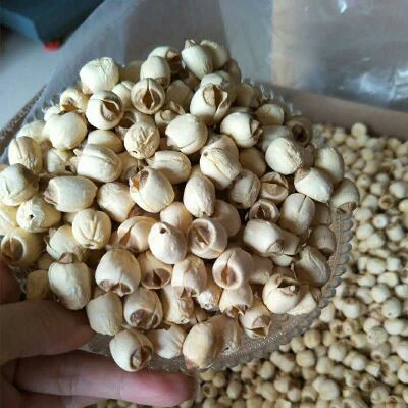 江西抚州广昌特级通心白莲农家自销干货特产