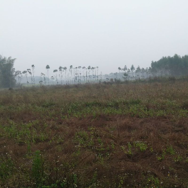 耕地