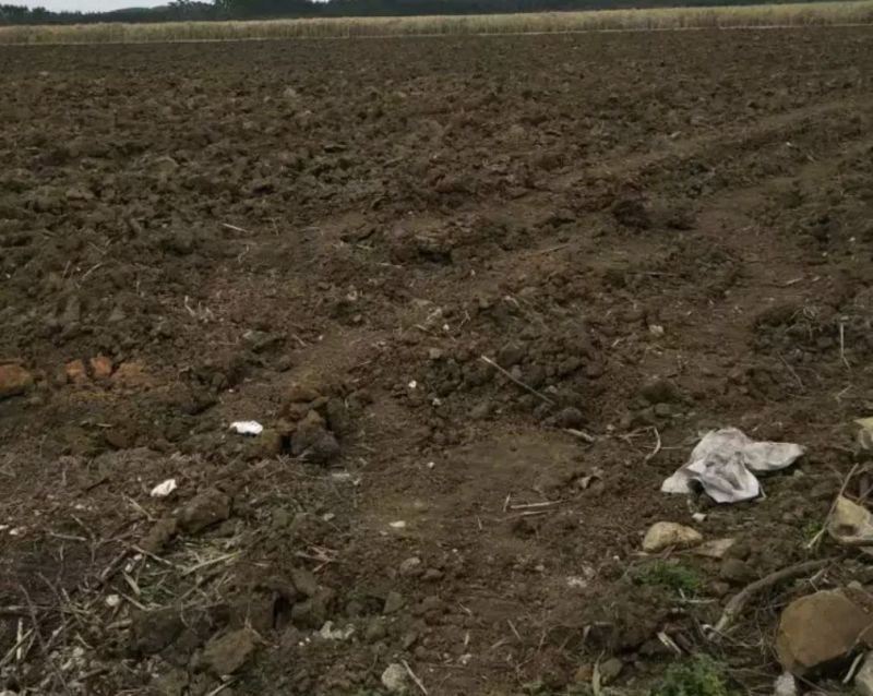 耕地