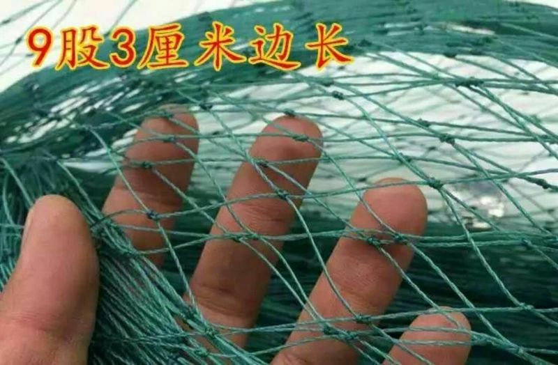 防鸟网养殖网山鸡网养鸡网尼龙网拦鸡围网防鸟网护栏