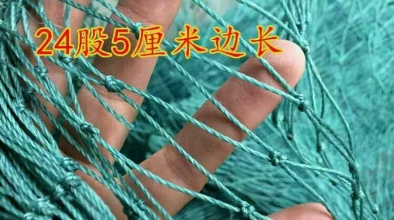 防鸟网养殖网山鸡网养鸡网尼龙网拦鸡围网防鸟网护栏