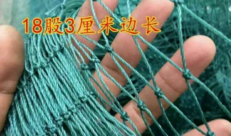 防鸟网养殖网山鸡网养鸡网尼龙网拦鸡围网防鸟网护栏