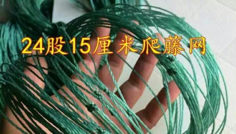 防鸟网养殖网山鸡网养鸡网尼龙网拦鸡围网防鸟网护栏