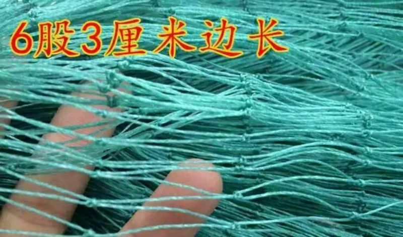 防鸟网养殖网山鸡网养鸡网尼龙网拦鸡围网防鸟网护栏