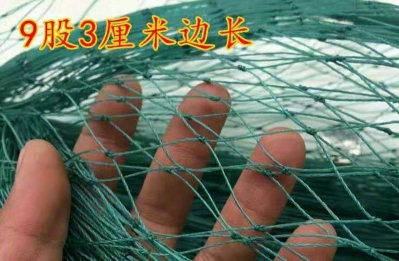 防鸟网养殖网山鸡网养鸡网尼龙网拦鸡围网防鸟网护栏