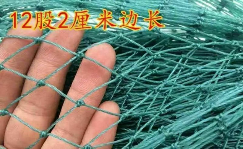 防鸟网养殖网山鸡网养鸡网尼龙网拦鸡围网防鸟网护栏