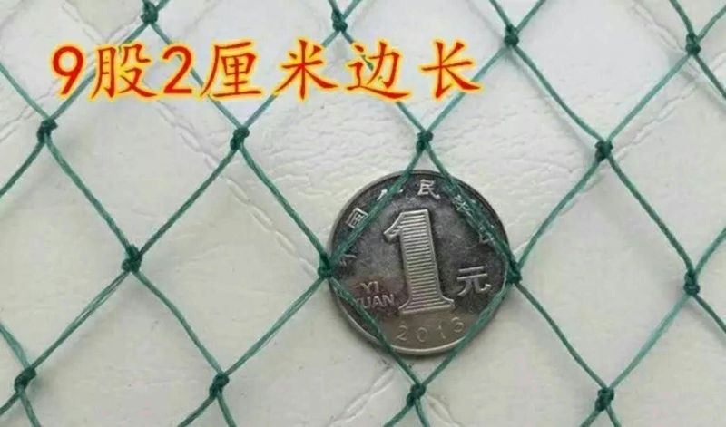 防鸟网养殖网山鸡网养鸡网尼龙网拦鸡围网防鸟网护栏
