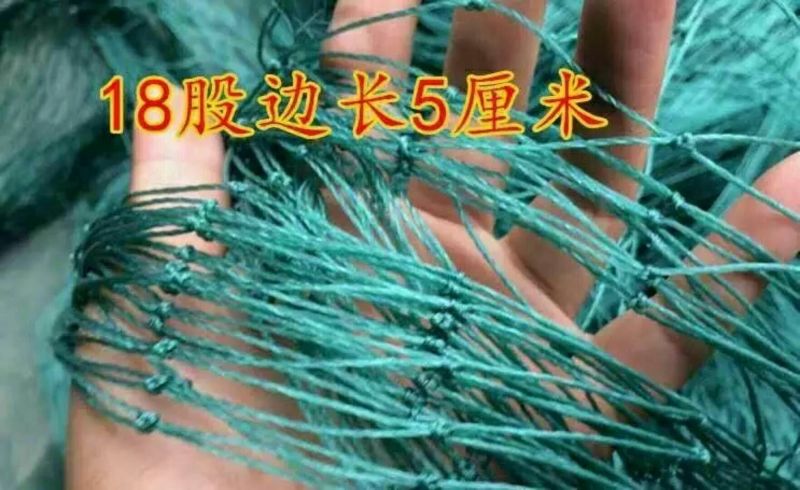 防鸟网养殖网山鸡网养鸡网尼龙网拦鸡围网防鸟网护栏
