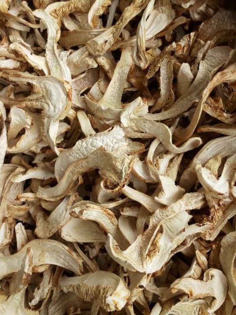 松茸干片产地直销，质量保证