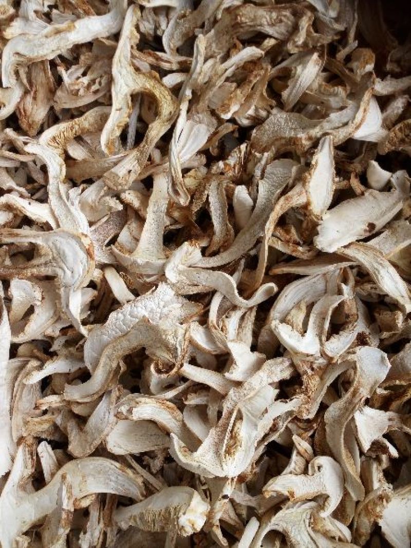 松茸干片产地直销，质量保证